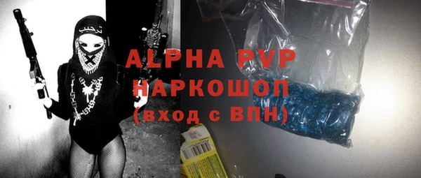 индика Алексин