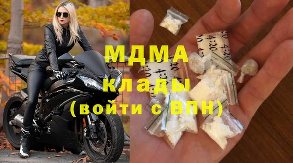 индика Алексин