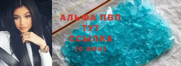 индика Алексин